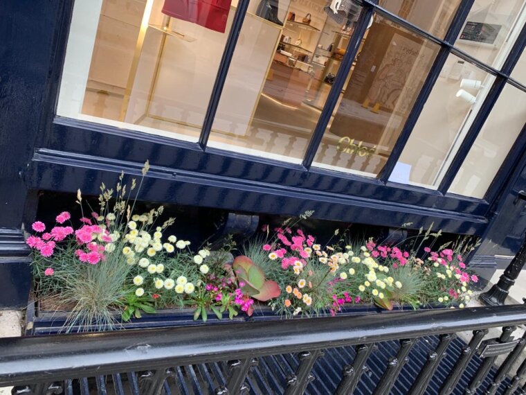 Attractive planting outside a shop in London
