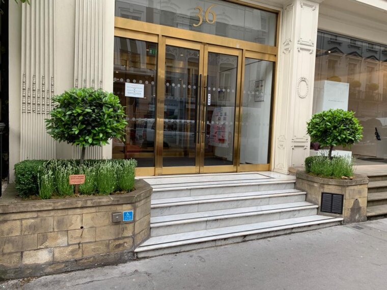 Photo of an stylish office entrance with planting either side of doors