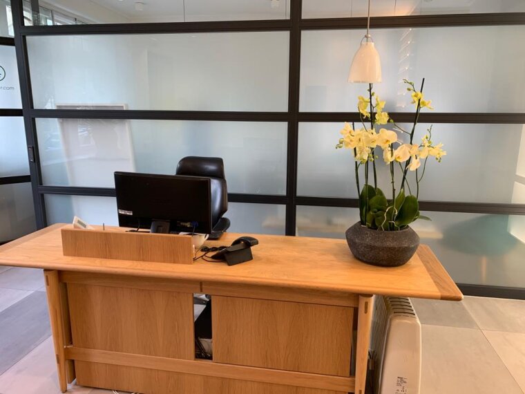 Reception desk with an orchid plant in a pot